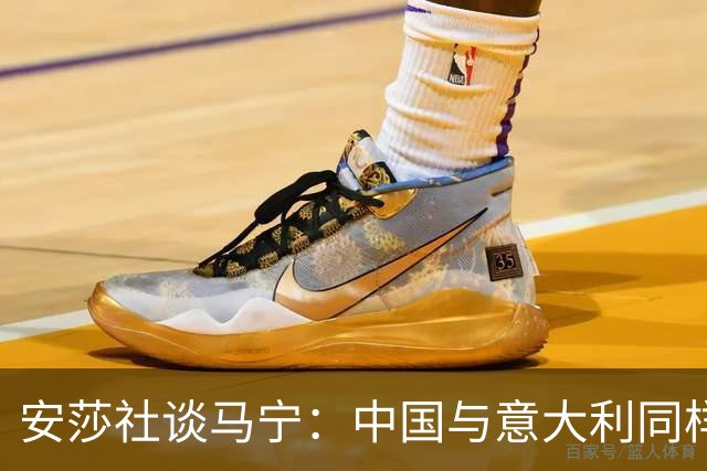 安莎社谈马宁：中国与意大利同样无缘世界杯，这位裁判被球迷追捧